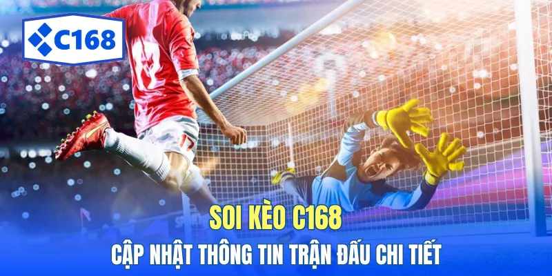 Thông tin phân tích trận đấu rõ ràng dành cho anh em
